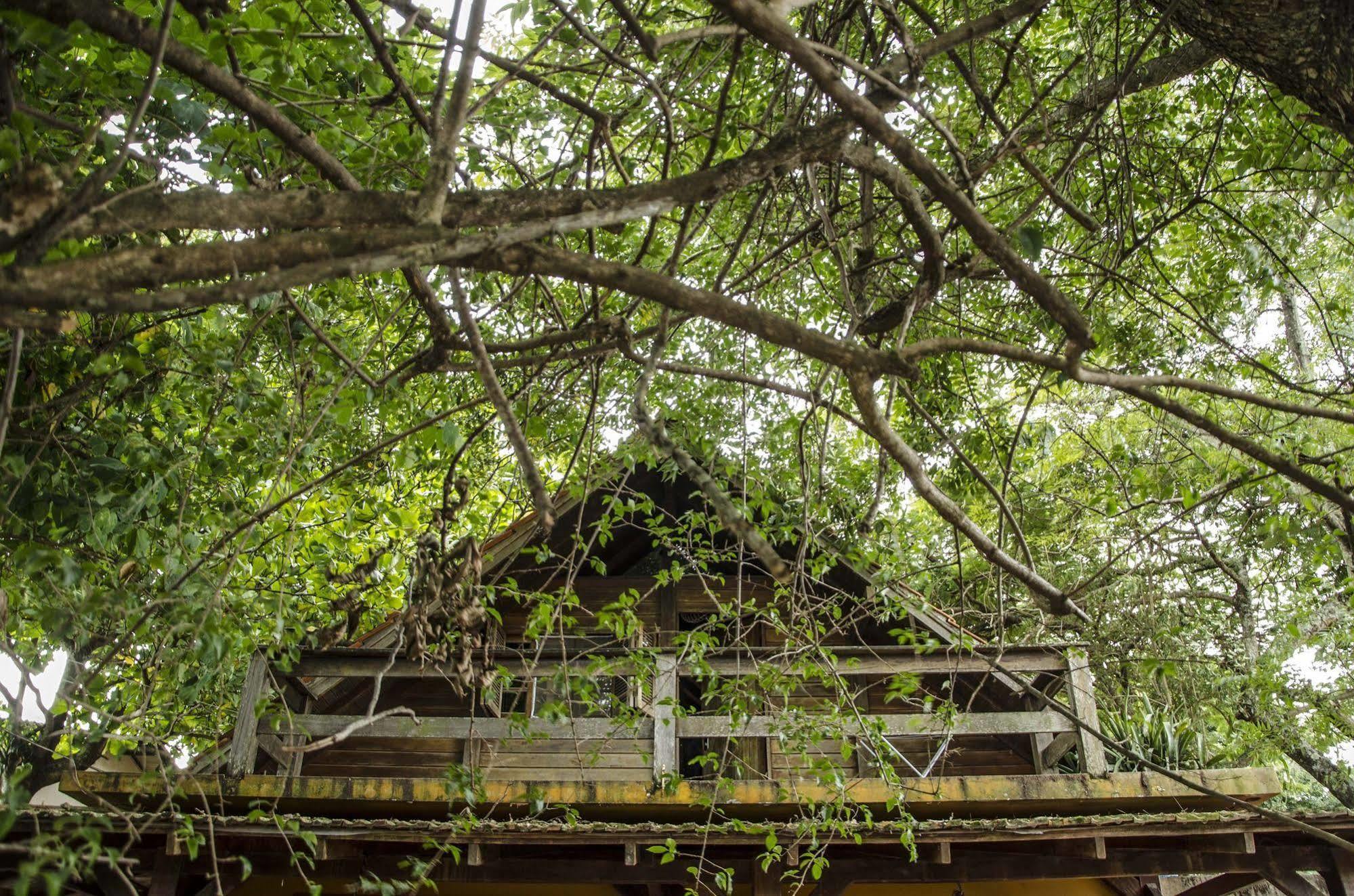 Sagui Hostel Florianópolis Kültér fotó